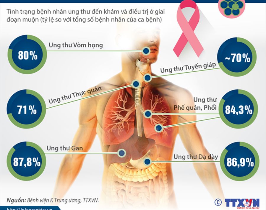 NHỮNG DẤU HIỆU CHO BIẾT CƠ THỂ CẦN DETOX ĐỂ PHỤC HỒI SỨC KHỎE