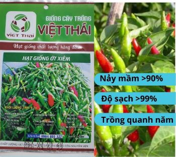 Ảnh của Hạt Giống - Hạt Ớt Xiêm Việt Thái
