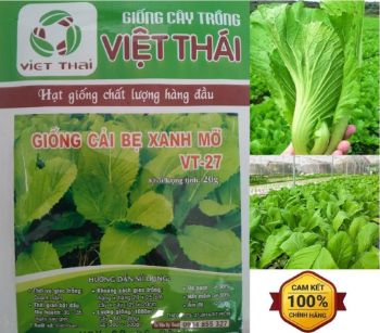 Ảnh của Hạt Giống Rau - Giống Rau Cải Bẹ Mỡ Vt27 Việt Thái (20g)